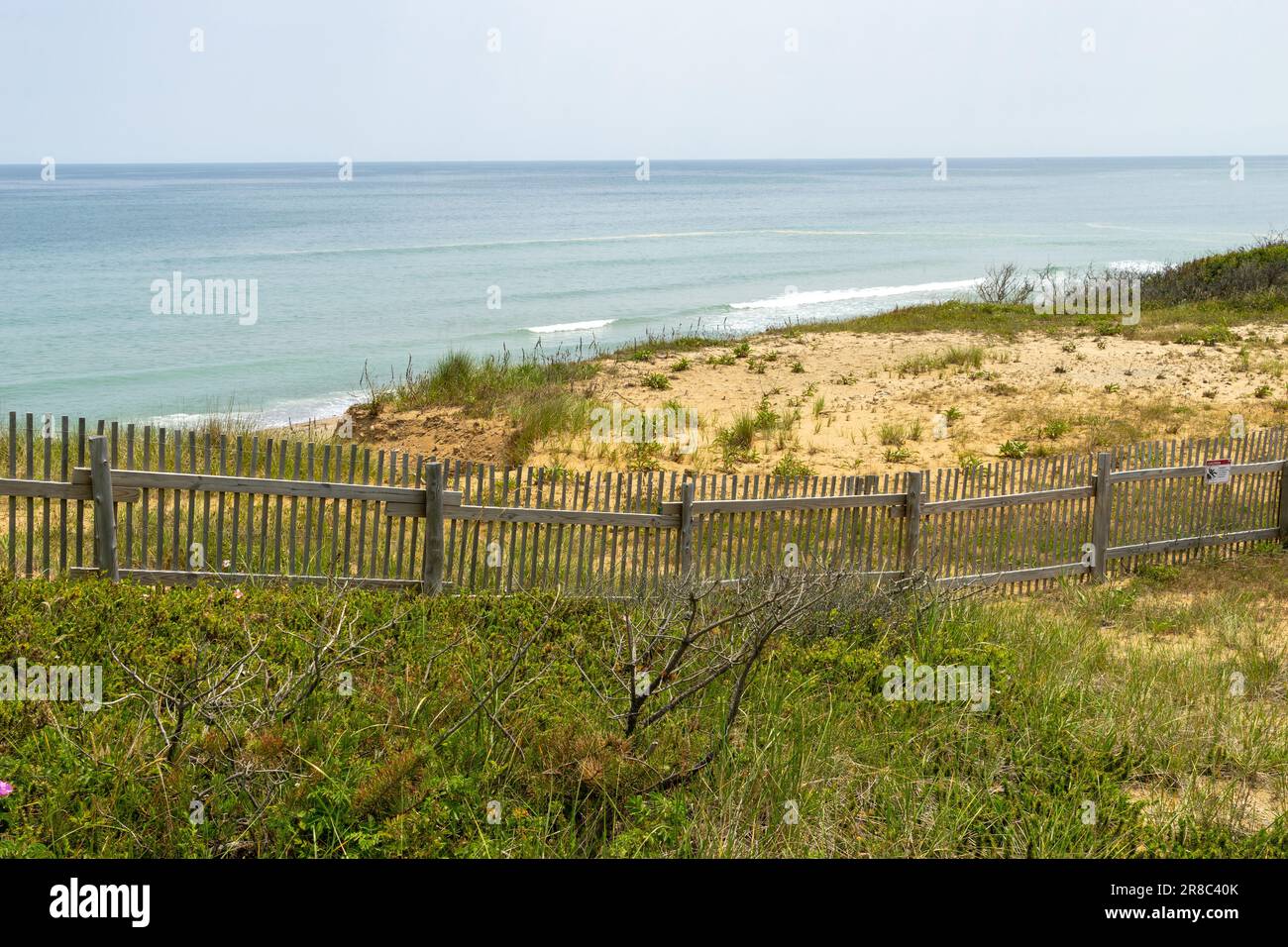 Spiaggia di Cape Cod Foto Stock