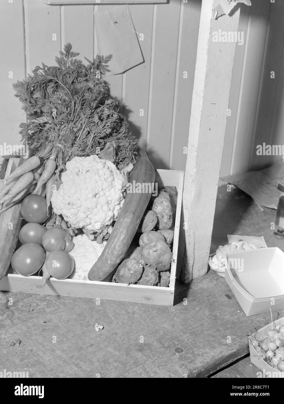 Attuale 16-1950: Shopping nei 4 capitalOne nordici ha l'impressione che molti pensano che sia più economico vivere in Svezia o Danimarca. Attualmente confronta i prezzi di una serie di merci nei quattro paesi nordici. A Oslo: Patate NOK. 0,42, carote NOK 1,50, pomodori NOK 5,35, cetrioli NOK 3,30, cavolfiore NOK 2,50. Foto: Aktuell / NTB ***FOTO NON ELABORATA*** Foto Stock