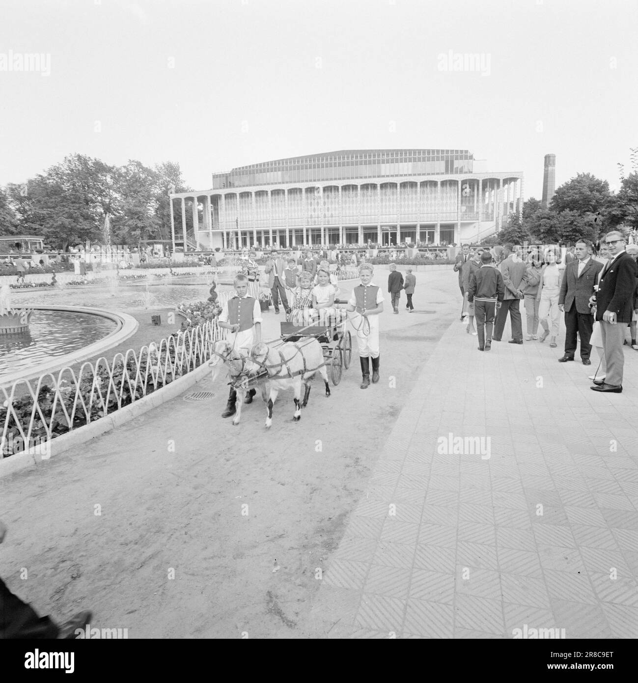 Corrente 34-1-1960: Happy day nel parco avventura qui si trovano i Giardini di Tivoli di Copenhagen – il allegro giro di ricordi felici per decine di migliaia di norvegesi – il Giardino Avventura che nessuno può copiare. Berit ed Anna dovettero fare un giro con le capre, mentre mamma e papà seguivano la carrozza da lontano. Dietro: La nuova sala concerti da 2.000 posti. Foto: Ivar Aaserud / Aktuell / NTB ***FOTO NON ELABORATA*** Foto Stock