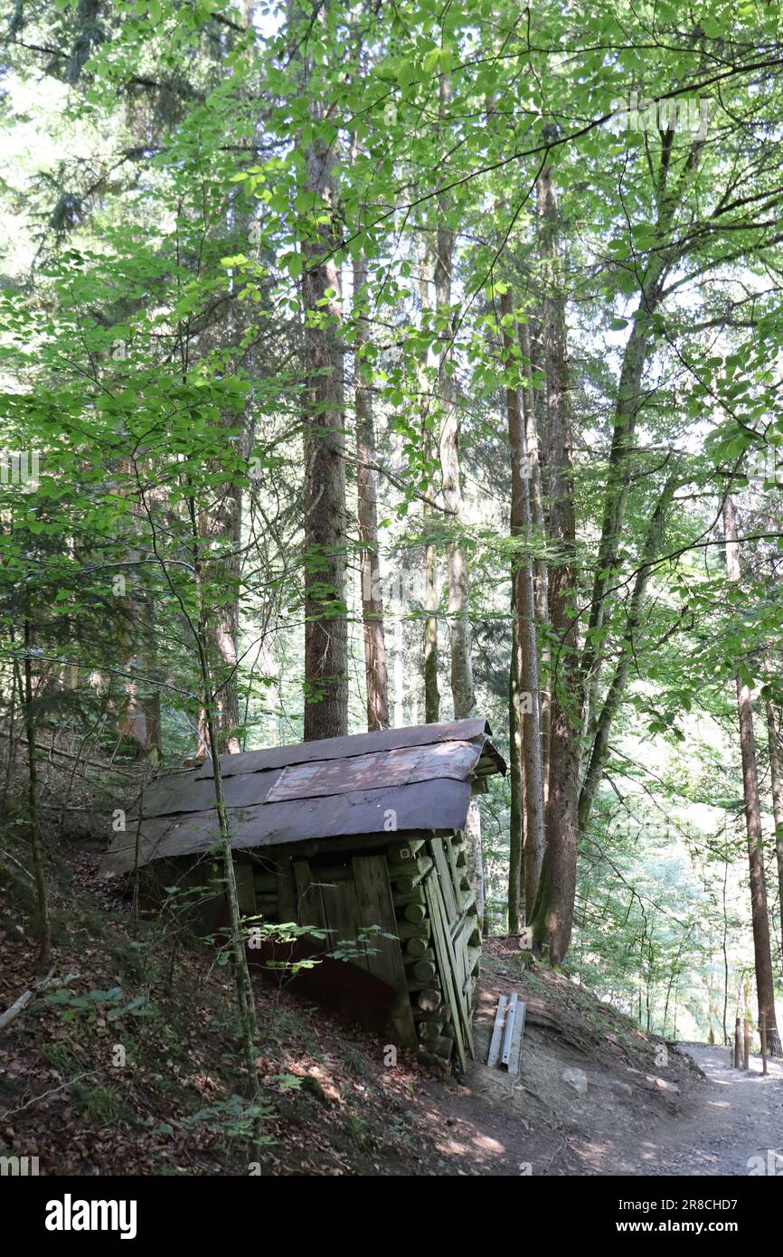 Il Breitachklamm è una gola creata dal fiume Breitach nell'Allgau. Si tratta di una delle gole più profonde delle Alpi bavaresi e della roccia più profonda. Foto Stock