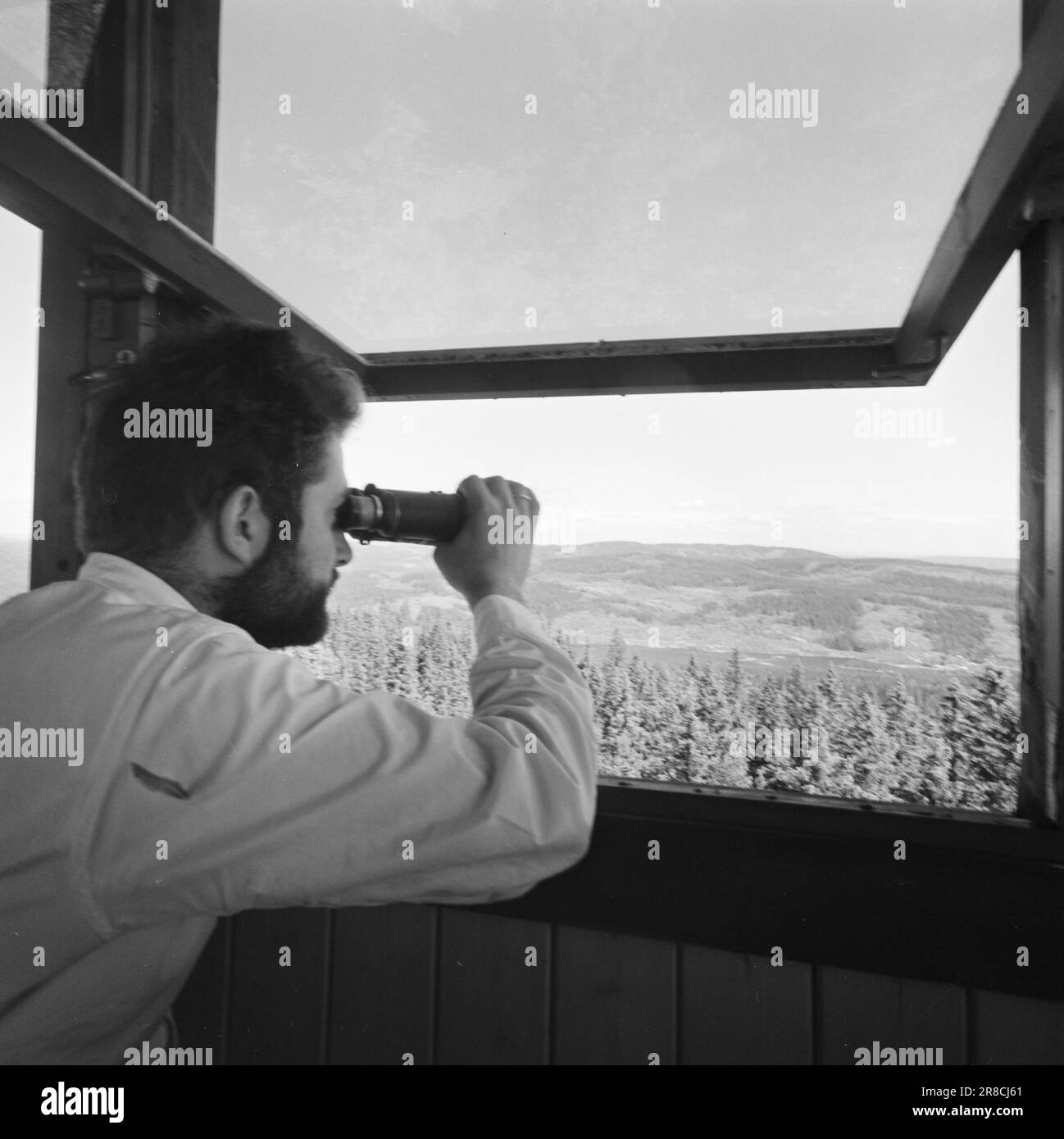 Attuale 29-6-1960: La sentinella solitaria abbiamo trovato un posto di lavoro strano. Giù là, un uomo che vive al suo posto cammina. Giorno e notte il nemico si aggirano, giorno e notte l'uomo solitario è in guardia - contro il fuoco della foresta. Stein Aanderaa, uno studente di teologia, ha un lavoro solitario di vacanza nella torre di guardia antincendio di Skgennungsåsen nelle foreste di Oslo. Alto e libero sopra le cime degli alberi, egli custodisce 5 miglia di foresta in tutte le direzioni. È in servizio 24 ore su 24. Foto: Aage Storløkken / Aktuell / NTB ***FOTO NON ELABORATA*** Foto Stock