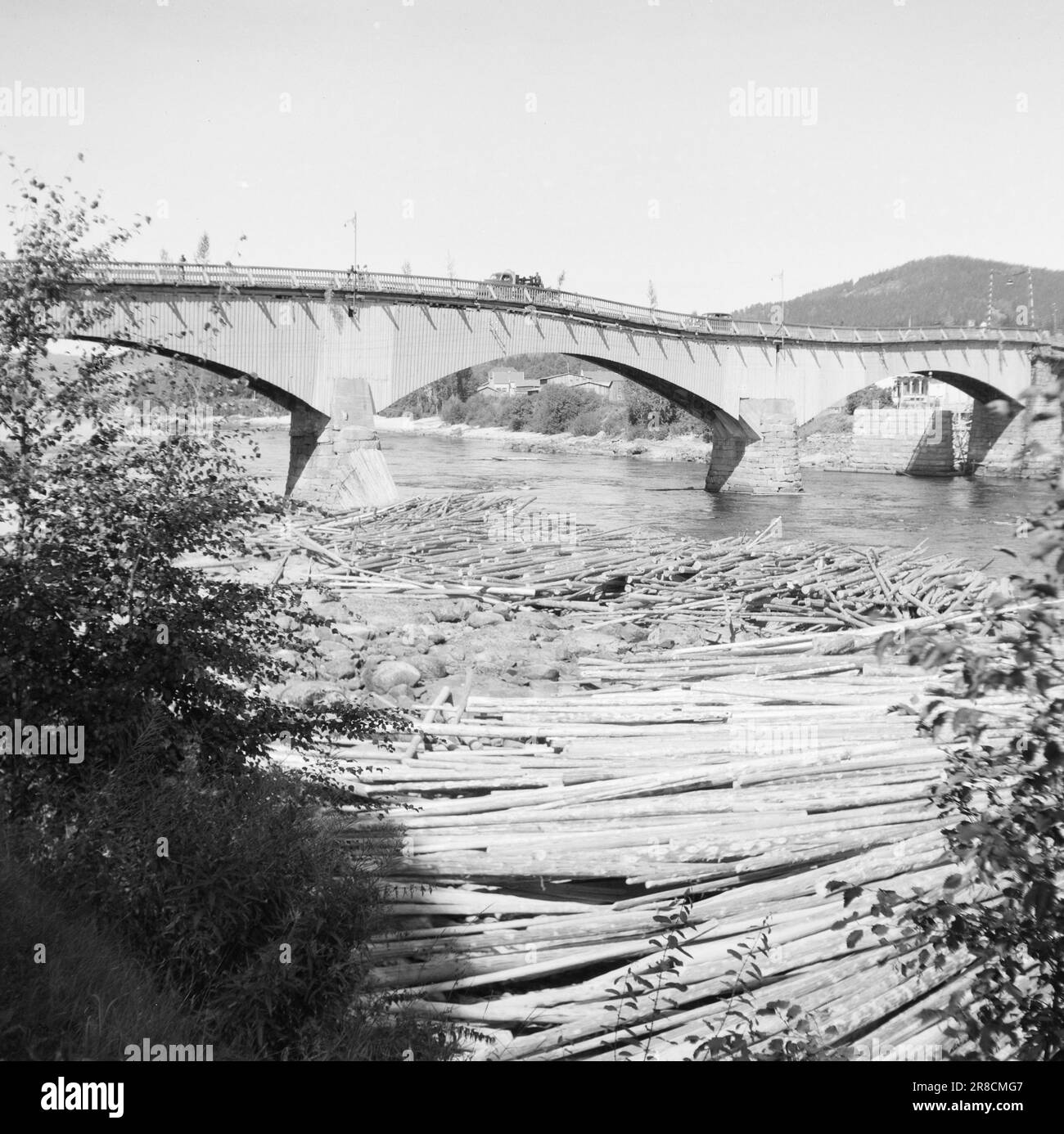 Attuale 17-1-1947: Le catastrofiche annegazioni le relazioni si riversano da tutti gli angoli della Norvegia orientale sulle gravissime conseguenze della prolungata siccità. I grandi fiumi si sono quasi assottiti. Questa foto di Kongsvinger mostra tutto il corso inferiore di Glåma. Carichi pesanti di legname si trovano completamente a secco, e nessuno sa come saranno portati in sicurezza e portati avanti in tempo in autunno. Pioggia, pioggia i galleggianti vogliono. Foto: Aktuell / NTB ***FOTO NON ELABORATA*** Foto Stock