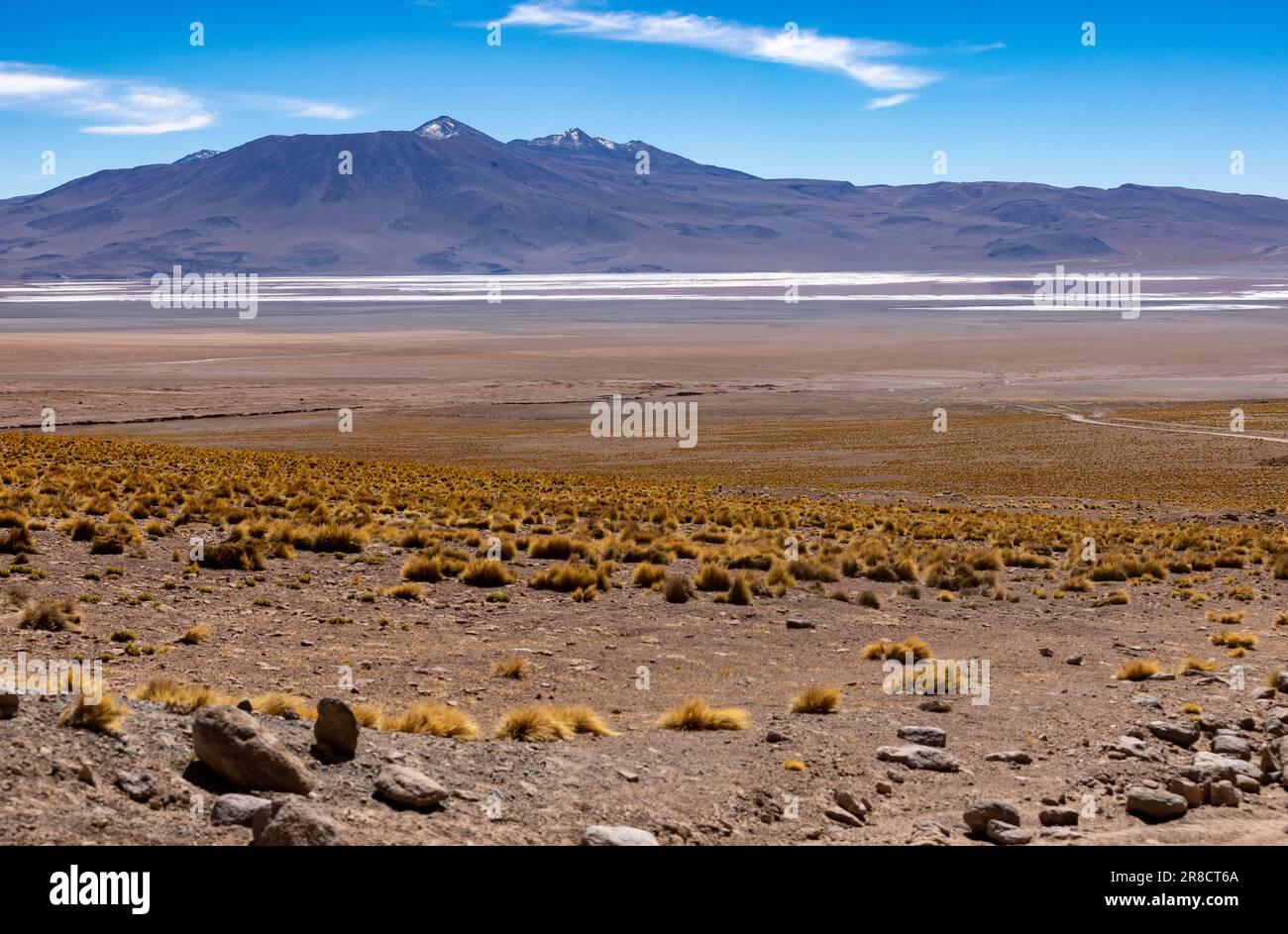 Vivere il sogno di avventura: Guidare il percorso panoramico della laguna attraverso la remota riserva nazionale fauna Andina Eduardo Avaroa nell'Altiplano boliviano Foto Stock