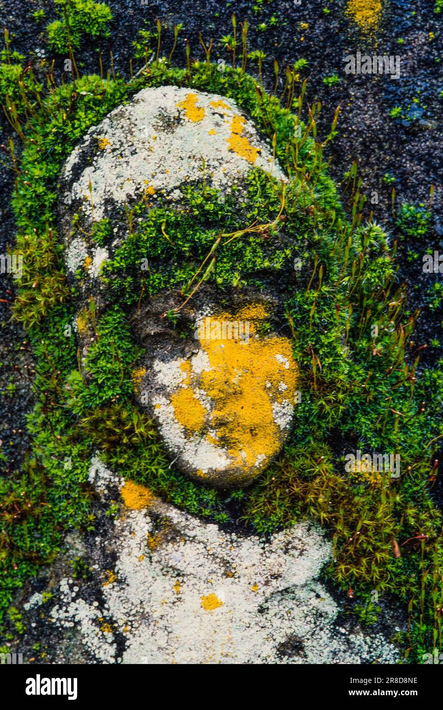 Immagine della faccia della statua di copertura del muschio Foto Stock