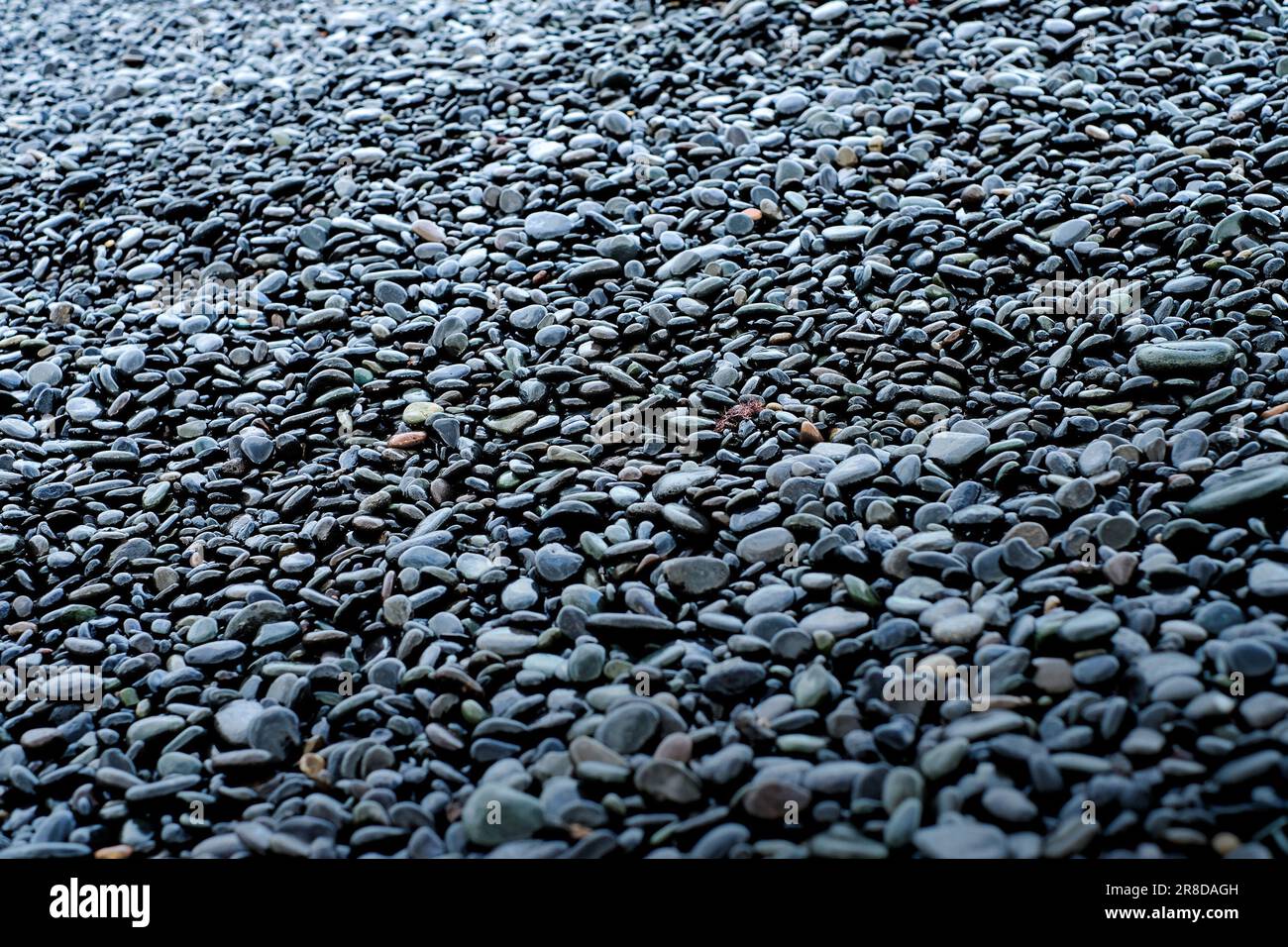 pietre nere bagnate massi di basalto sulla riva del fiume Foto Stock