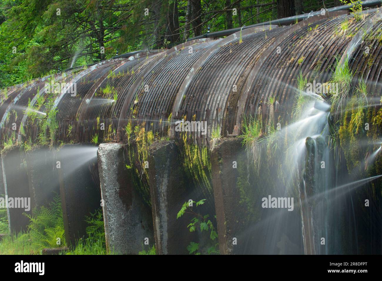 Penstock a Toketee, Umpqua National Forest, Rogue-Umpqua National Scenic Byway, Oregon Foto Stock