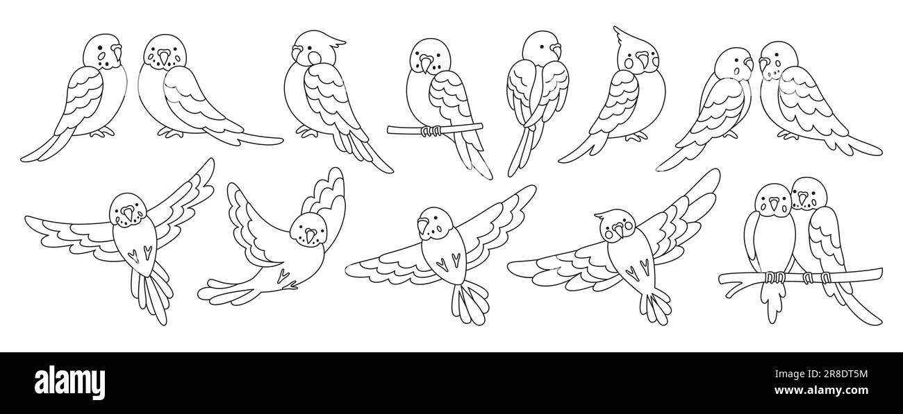 Parrot tropicale doodle set lineare. Estate selvaggio esotico seduta e raccolta di uccelli volanti. Fauna selvatica giungla carino pappagalli hawaiani, simpatici simpatici personaggi parakeet disegnati a mano vettore illustrazione Illustrazione Vettoriale