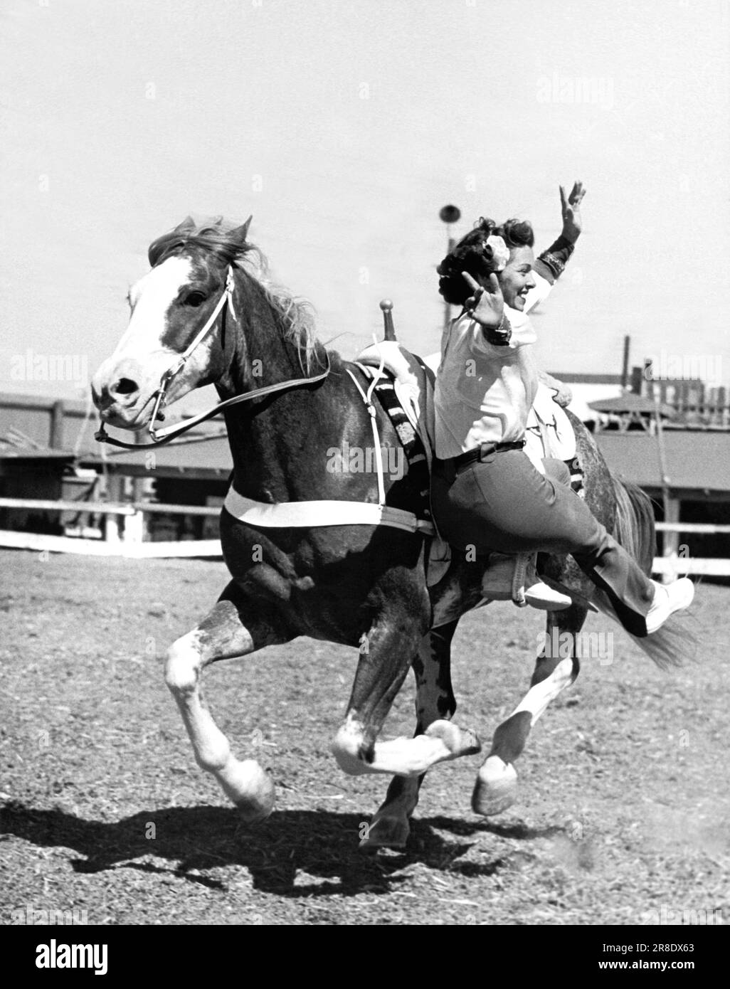 Los Angeles, California: 1947. Una cowgirl mostra le sue abilità di guida stunt con un solo piede attaccato al cavallo. Foto Stock