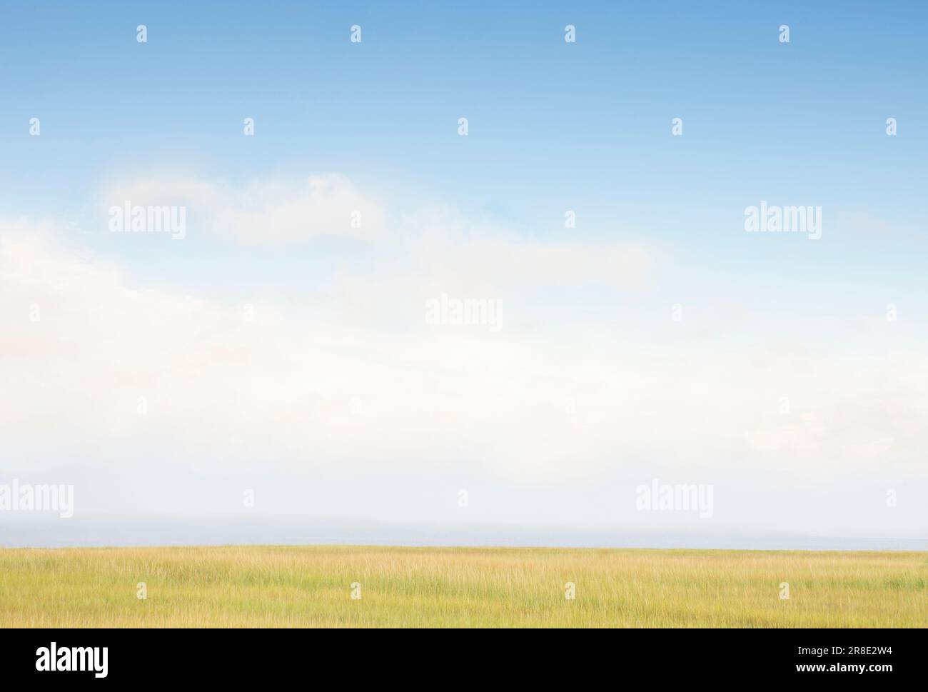 Cielo sopra l'erba vicino alla spiaggia Foto Stock