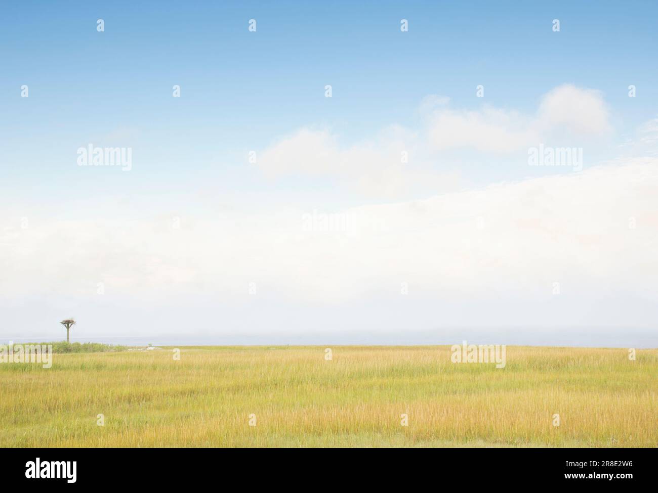 Cielo sopra l'erba vicino alla spiaggia Foto Stock