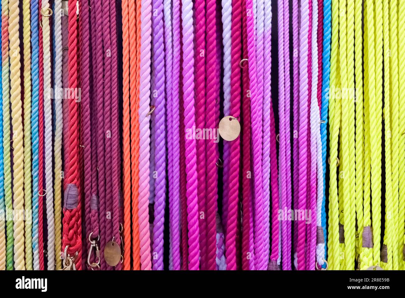 Guinzagli di cane multicolore appesi in fila Foto Stock