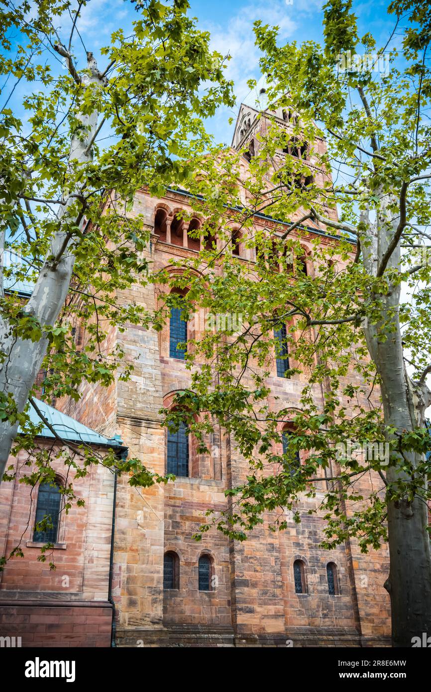 La Cattedrale Imperiale di Speyer, Germania, una cattedrale romanica cattolica, patrimonio dell'umanità dell'UNESCO dal 1981 Foto Stock