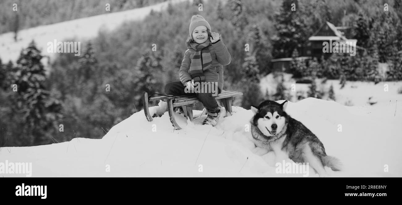 Ragazzo con slitta trainata da cani sulla montagna d'inverno, godendosi un giro in slitta in una bellissima natura invernale innevata. Divertimento invernale attività per bambini. Foto Stock