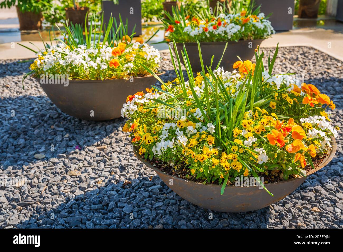 Belle piante colorate in vaso e fiori in un grande vaso di fiori in gres per balcone, patio o terrazza Foto Stock