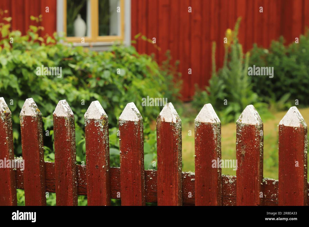Affascinante recinzione di legno rosso picket con cima bianca di fronte alla casa con giardino. Foto Stock