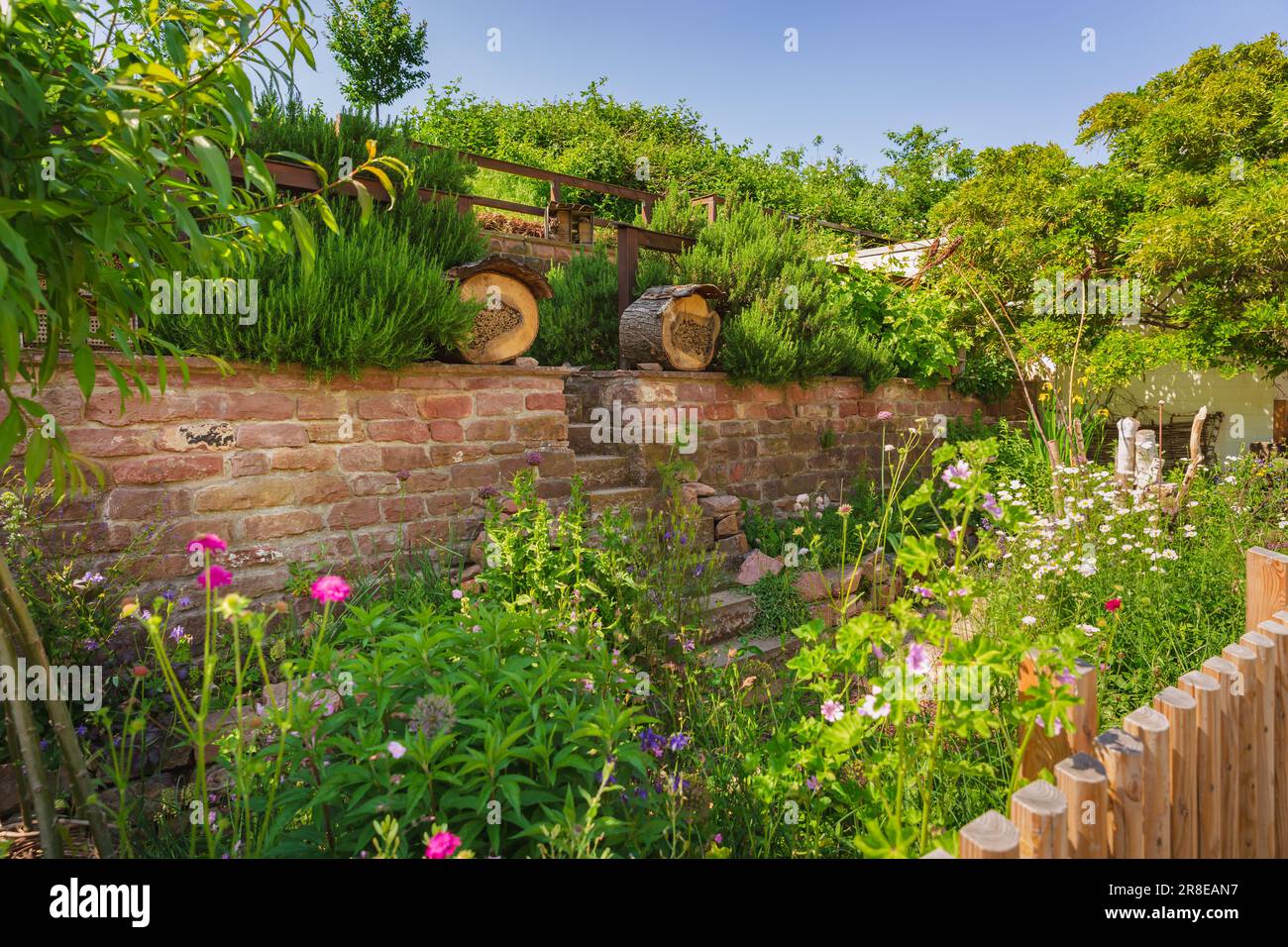 Giardino naturale con piante autoctone, pietre naturali, muri in pietra e case per insetti. Concetto di giardino nativo. Foto Stock