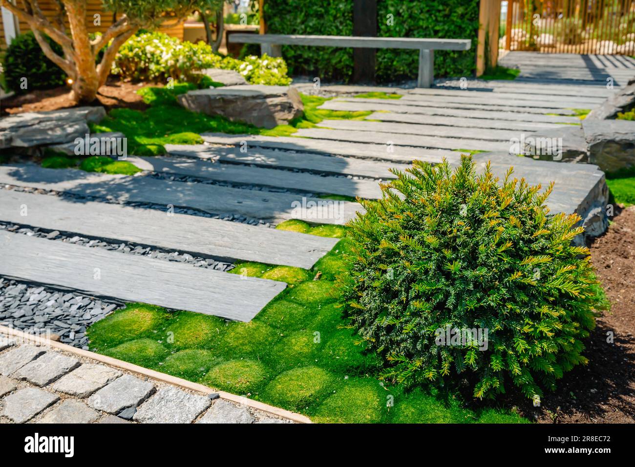 Sentiero di conifere e ardesia con pacciame di corteccia e piante native in giardino giapponese. Concetto di giardinaggio e di architettura paesaggistica. Foto Stock