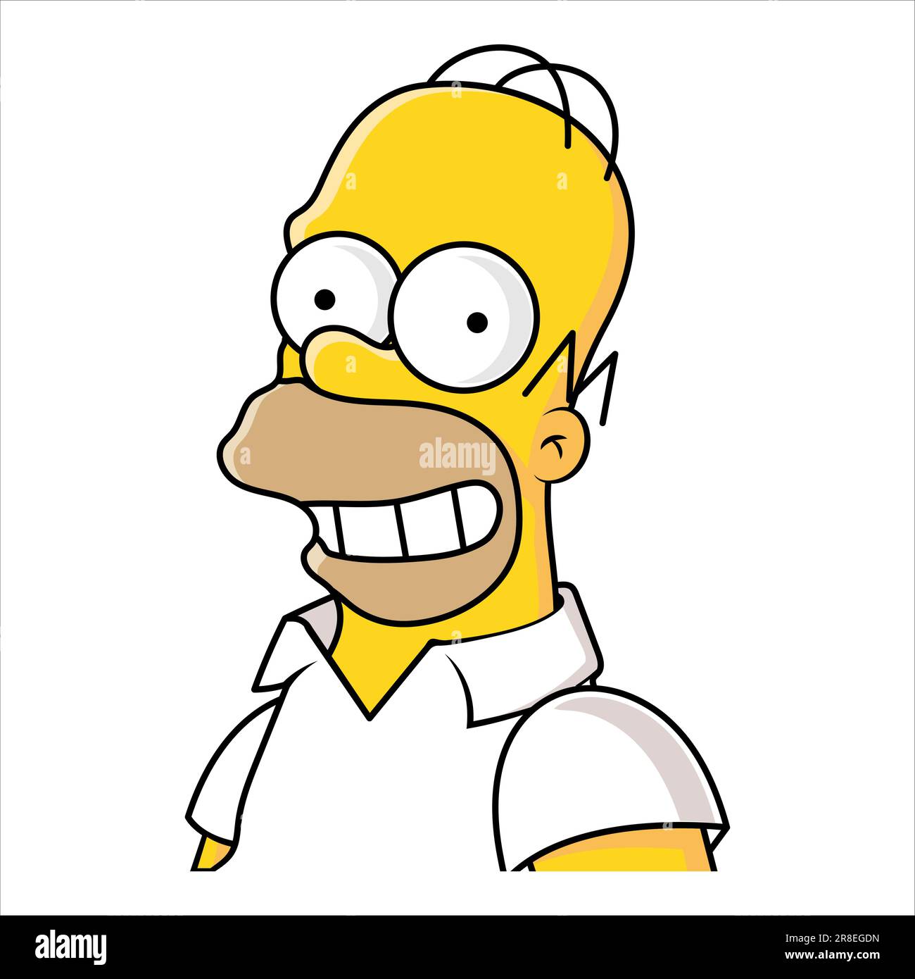 Personaggio dei cartoni animati Homer Simpson isolato su sfondo bianco Illustrazione Vettoriale