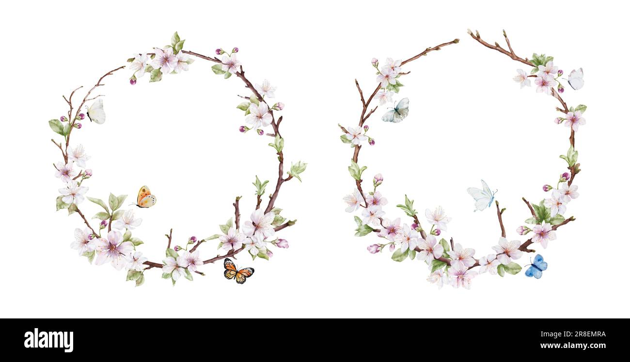Watercolor ciliegia fiore corona e farfalle. Cornice rotonda naturale con albero sakura e ramo delle foglie, isolato su sfondo bianco. Illustrazione Vettoriale