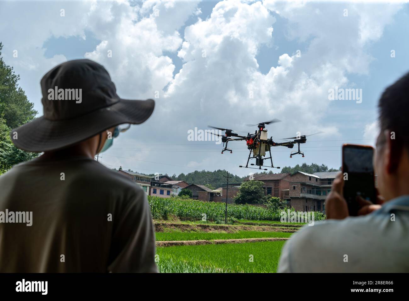 CHONGQING, CINA - 20 GIUGNO 2023 - gli agricoltori utilizzano un drone fitosanitario per 'uccidere gli insetti' per il riso a Chongqing, Cina, 20 giugno 2023. Viene riportato Foto Stock
