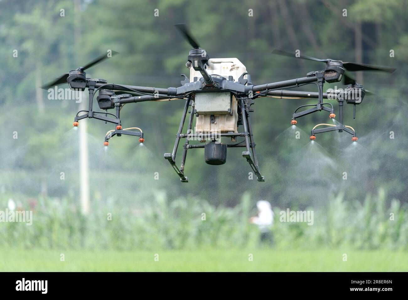 CHONGQING, CINA - 20 GIUGNO 2023 - gli agricoltori utilizzano un drone fitosanitario per 'uccidere gli insetti' per il riso a Chongqing, Cina, 20 giugno 2023. Viene riportato Foto Stock