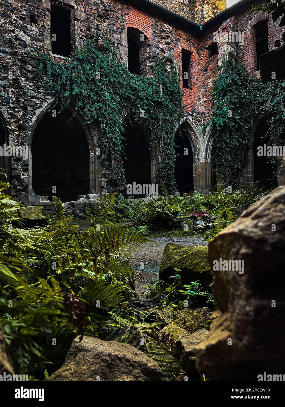Uno scatto verticale del giardino del vecchio monastero di Rosa Coeli crollato nella Moravia meridionale Foto Stock