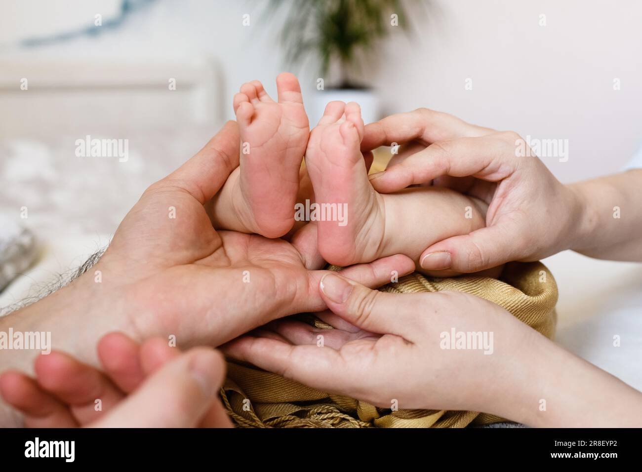 Le mani del padre e della madre tengono i piedi piccoli piccoli delle dita dei piedi del bambino, l'unità felice della famiglia, l'amore del mom e del dad vicino in su sullo sfondo dell'appartamento Foto Stock