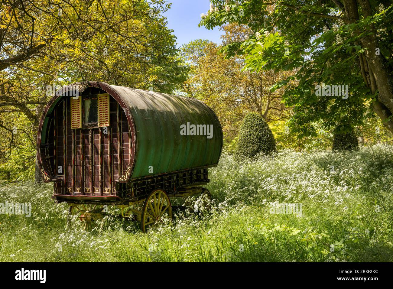 Vecchia carovana gitana situata in un bosco di fiori selvatici nel Gloucestershire, Inghilterra. Foto Stock