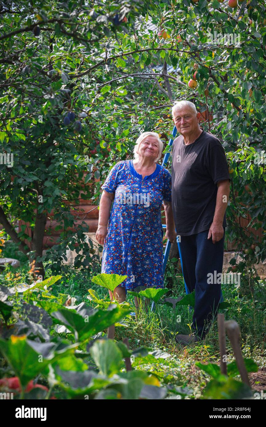Foto di allegro positivo pensionato coppia coccole beaming sorriso indossare casual vestito natura casa parco giardino all'aperto Foto Stock