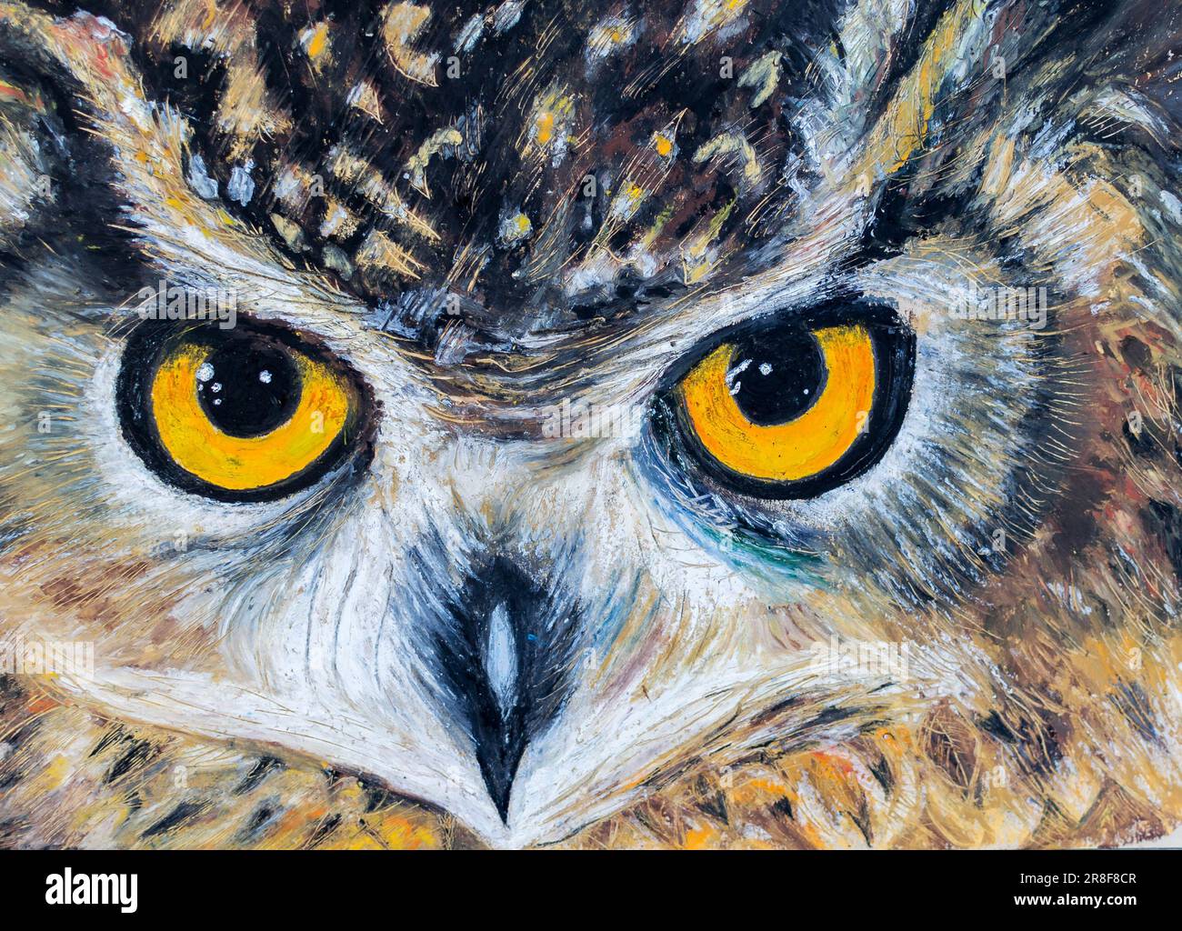 Primo piano del gufo con gli occhi dorati. Foto Stock