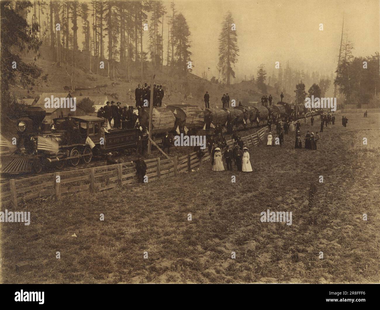 Carico ferroviario di tronchi che misura 88.568 piedi 1885 di Martin H. Grant, nato New Brunswick, Canada 1831-morto 1889 Foto Stock