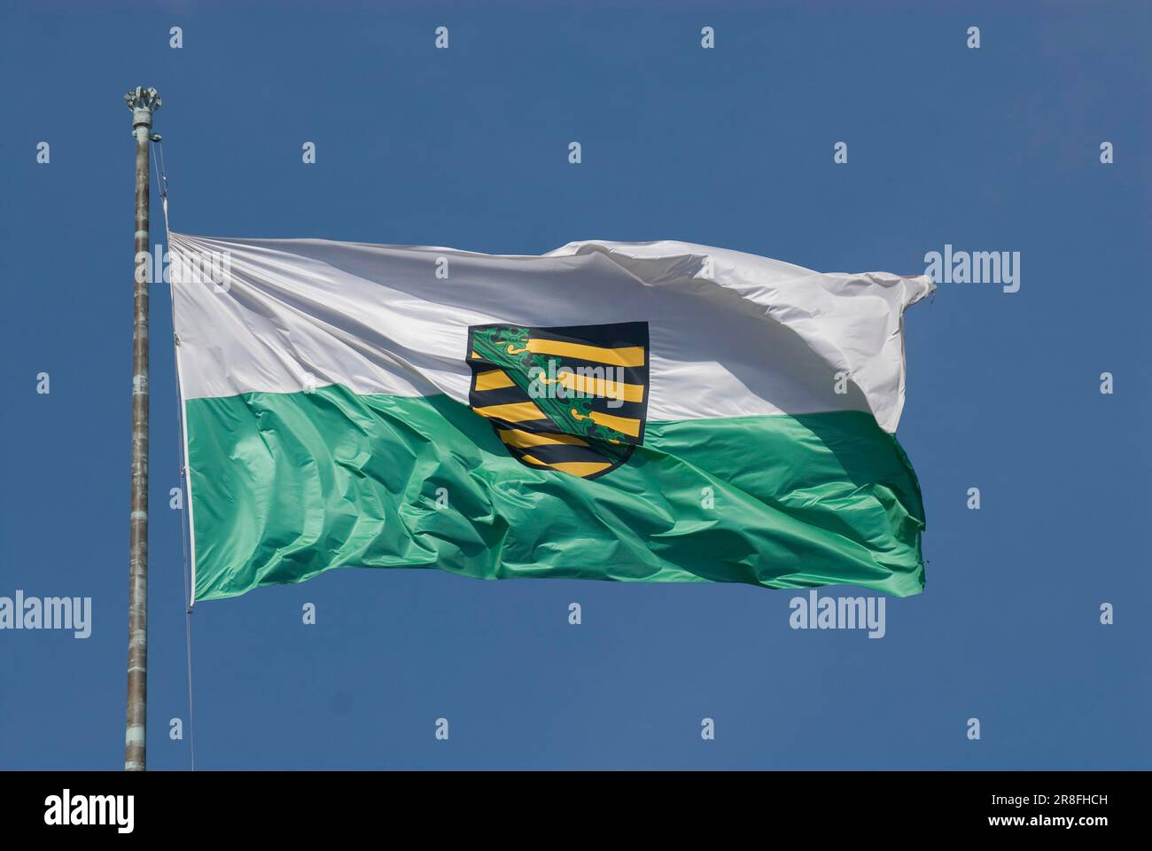 Bandiera della Sassonia nel vento, bandiera Stato libero della Sassonia Foto Stock