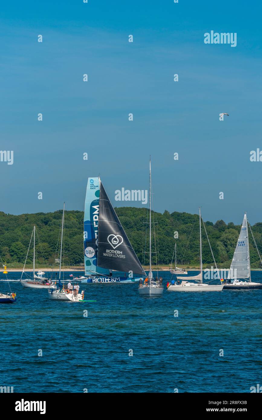 Kiel Fjord, Mar Baltico, Schleswig-Holstein, Germania settentrionale, Europa Foto Stock