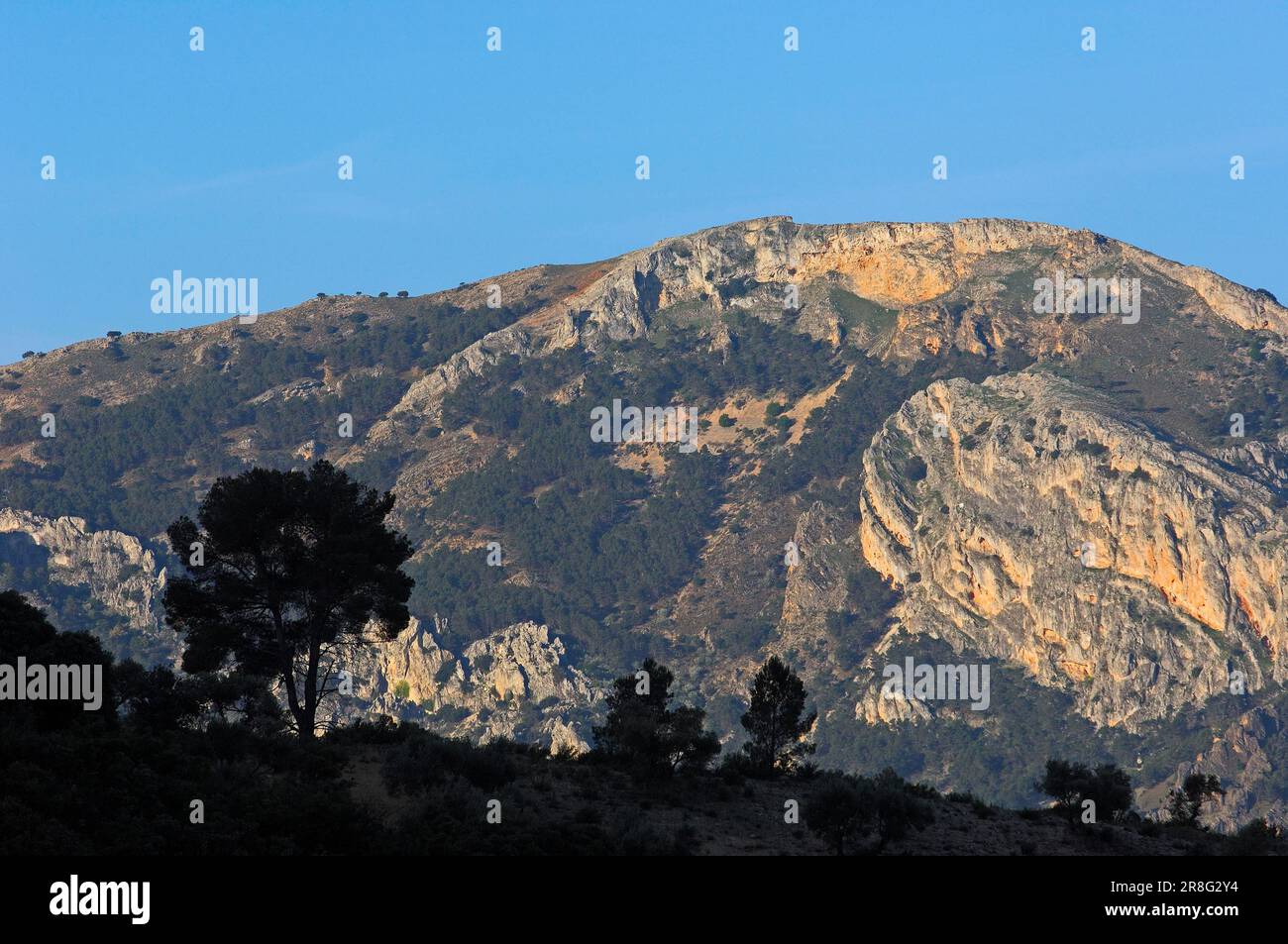 Montagne, Sierra de Cazorla, Parco Nazionale di Segura y Las Villas, Jaen, Andalusia, Spagna Foto Stock