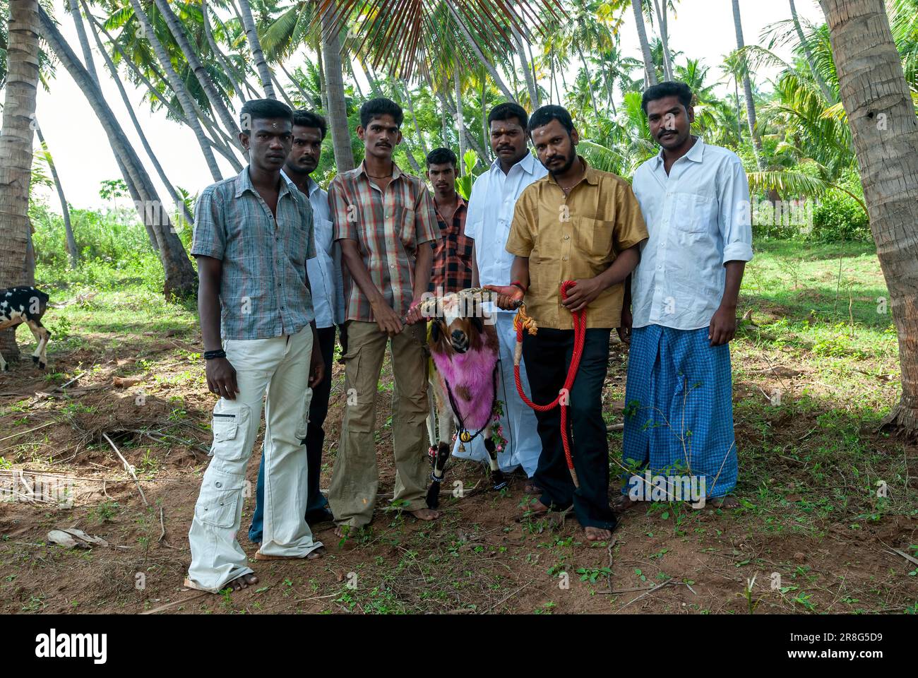Abitanti del villaggio con Goat in attesa di kidaai Muttu Goat combattimenti vicino Madurai, Tamil Nadu, India meridionale, India, Asia Foto Stock