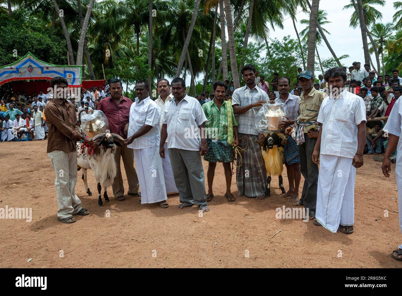 Abitanti del villaggio con le capre vincenti, Madurai, Tamil Nadu, India del Sud, India, Asia Foto Stock