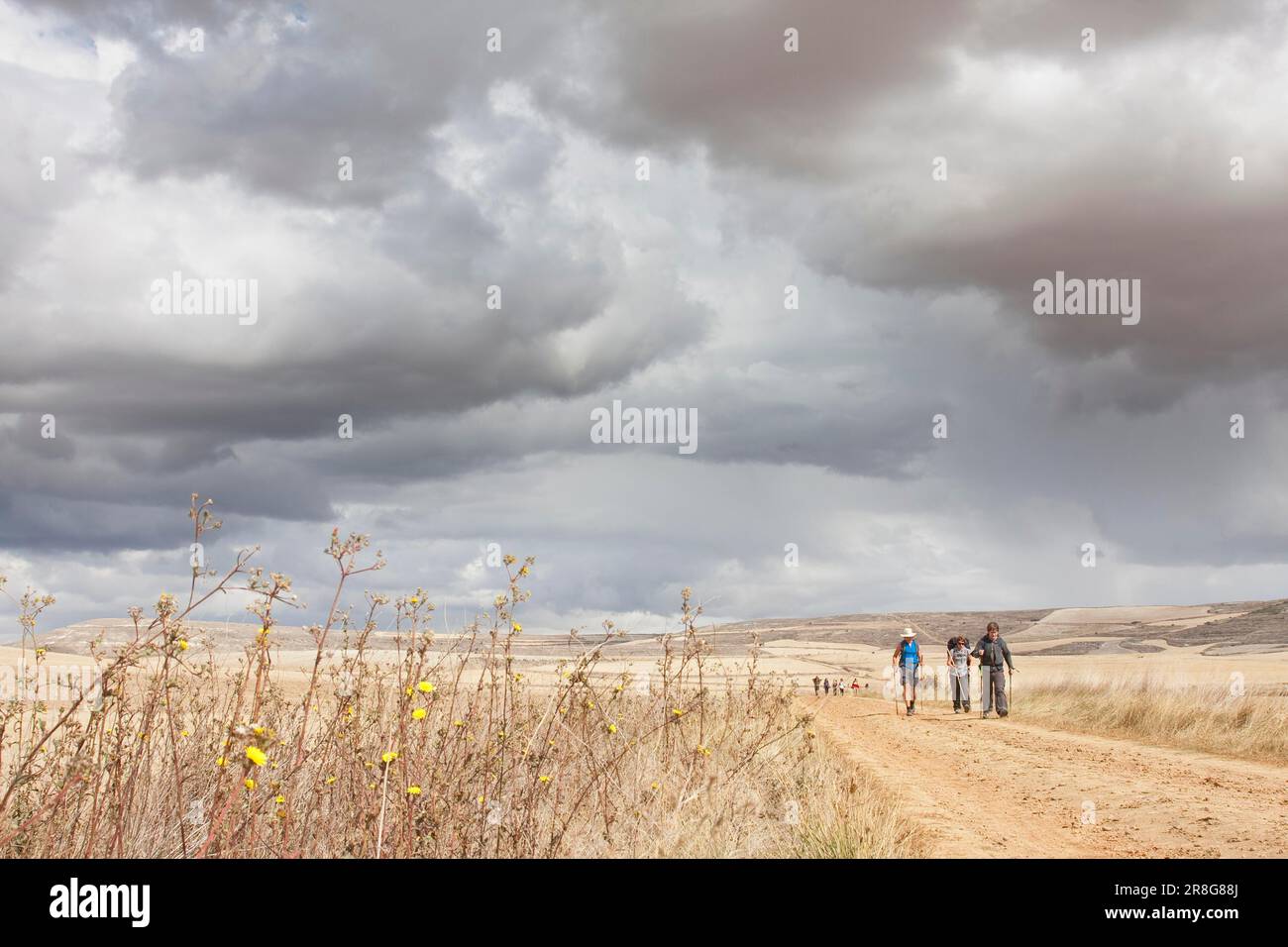 Impressionante cielo nuvoloso nella Meseta, via da Castrojeriz a San Nicolas de Puente Fitero, provincia di Burgos, Castiglia e Leon, Spagna Foto Stock