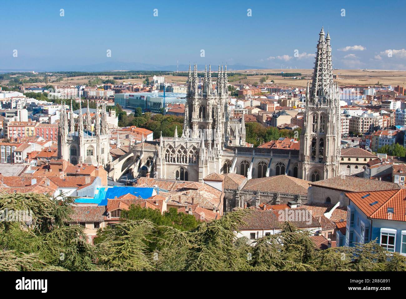 Burgos Cattedrale nel mare di case, Burgos, Castilla y Leon, provincia di Burgos, Spagna Foto Stock