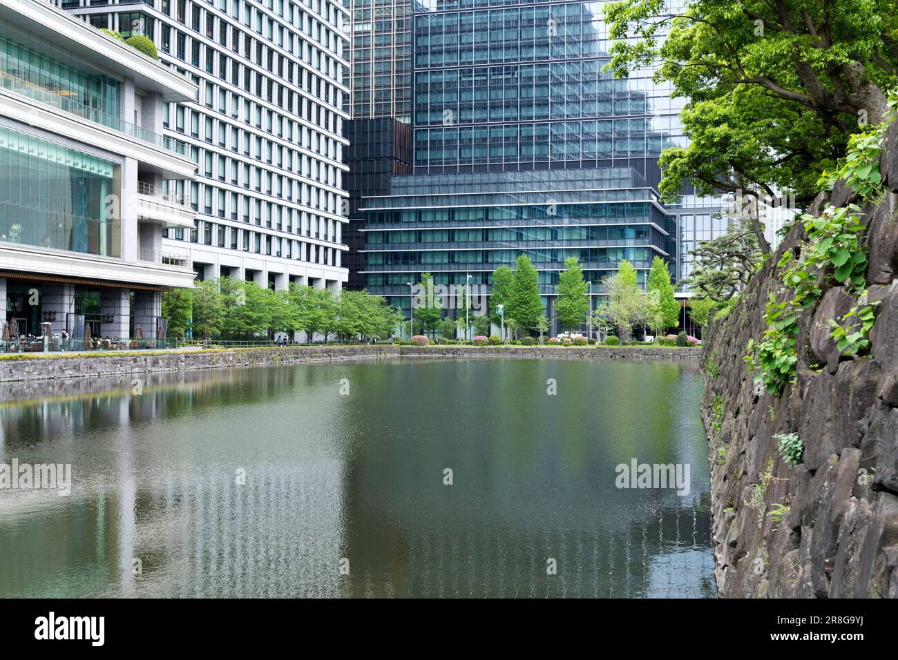 Alti edifici intorno al Palazzo Imperiale (Marunouchi/Tokyo) Foto Stock