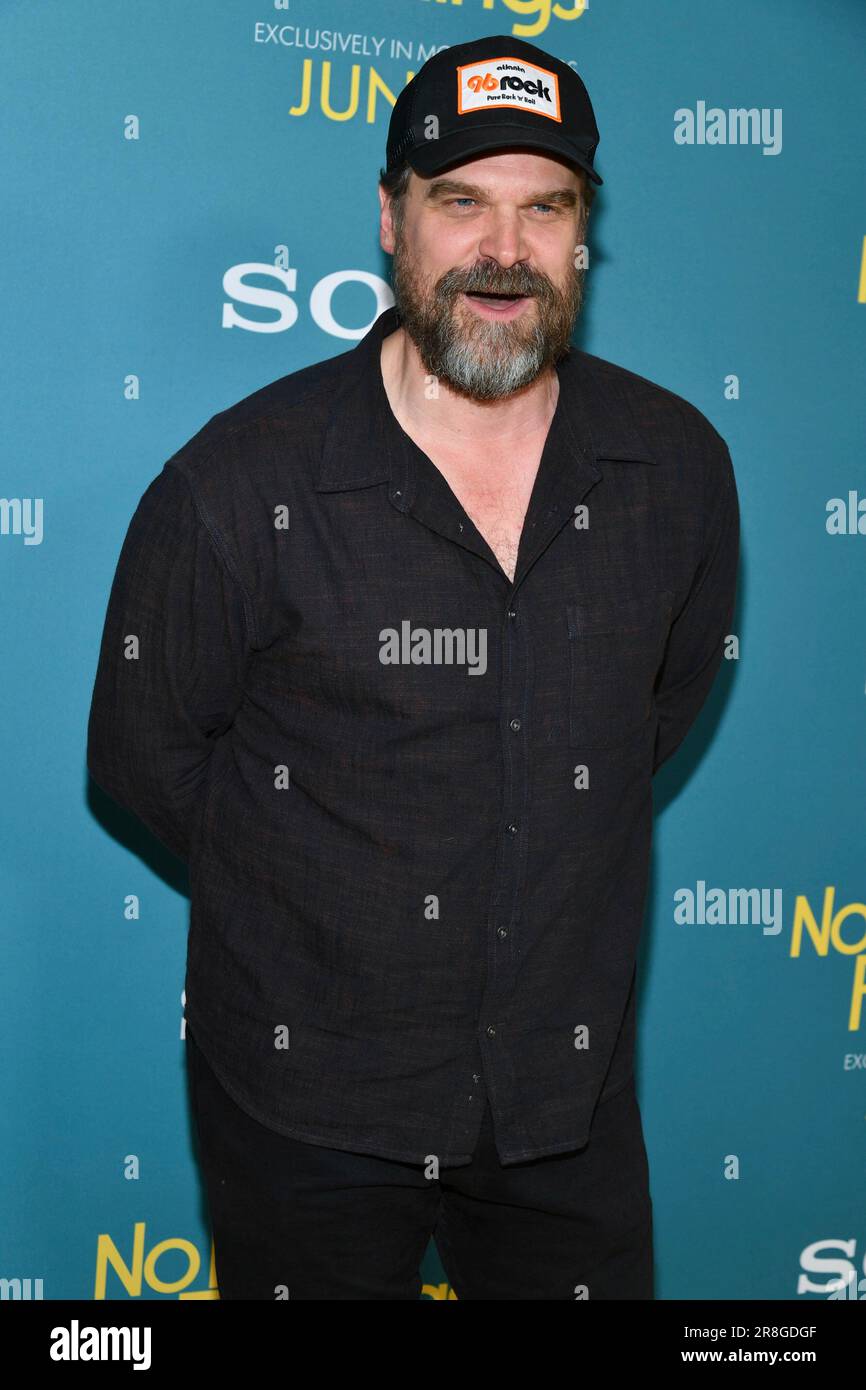 Photo by NDZ/STAR MAX/IPx 2023 6/20/23 David Harbour at the premiere