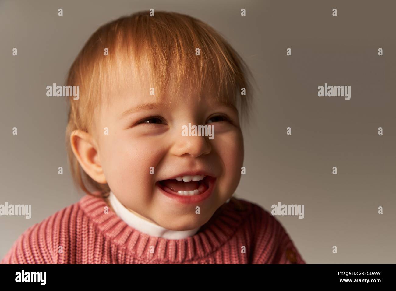 ritratto di ragazza cute del bambino, bambino felice del toddler, capretto piccolo in abbigliamento casual guardando la macchina fotografica su sfondo grigio in studio, emozione, innocenza, toddl Foto Stock