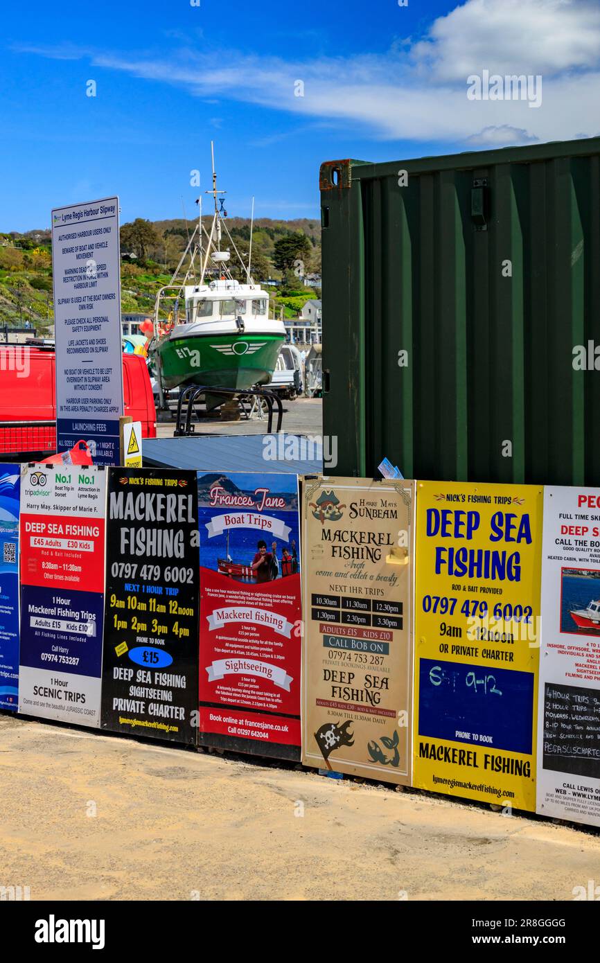 Segni di pesca e gite in barca al porto di Lyme Regis sulla Jurassic Coast, Dorset, Inghilterra, UK Foto Stock
