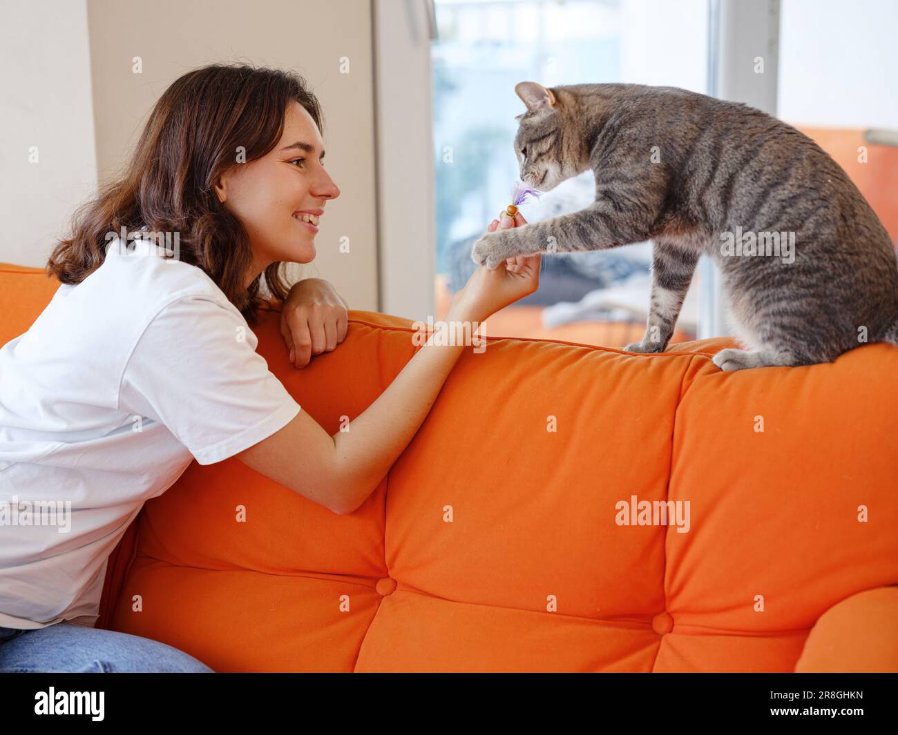 La giovane donna gioca con il suo gatto grigio sul divano arancione a casa. amicizia amore per gli animali concetto, gatto con carattere complesso, unkind e selvaggio Foto Stock