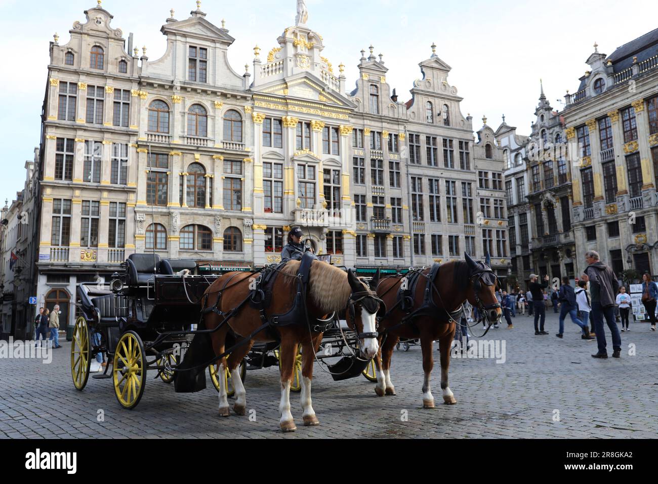 Belgio Foto Stock