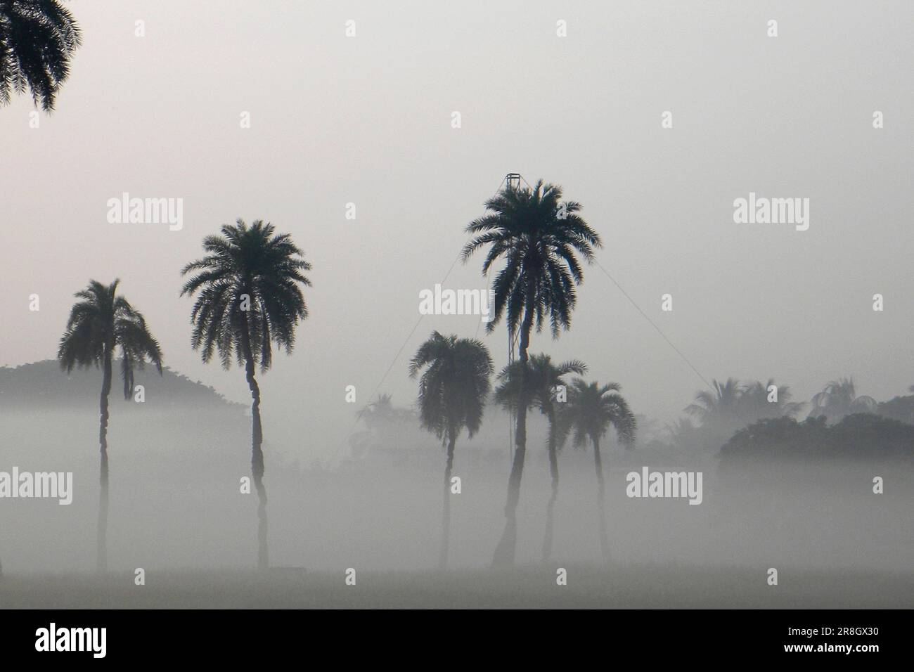 La campagna vicino a Cox Bazar, Bangladesh Foto Stock