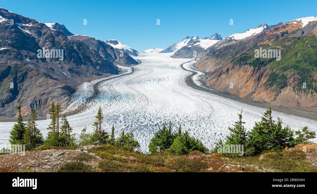 Panorama del ghiacciaio del salmone vicino a Stewart, British Columbia, Canada. Foto Stock