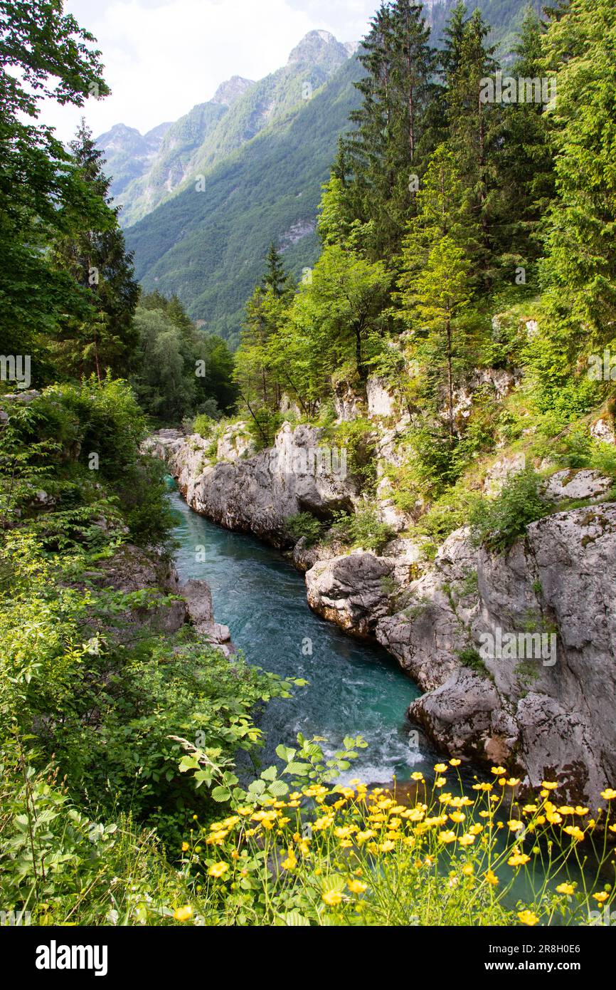 Escursioni nella valle del Soca nel fiume Slovenia Foto Stock