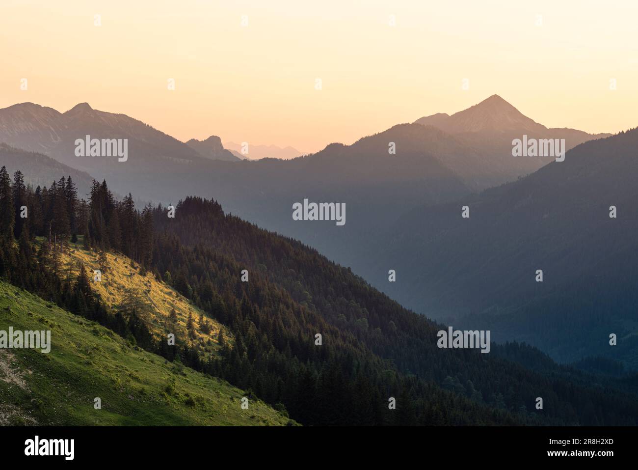 Prato alpino sul Grabenbergalm nelle Alpi tirolesi con il monte Halserspitze retroilluminato dal sole al tramonto in primavera, Austria Foto Stock