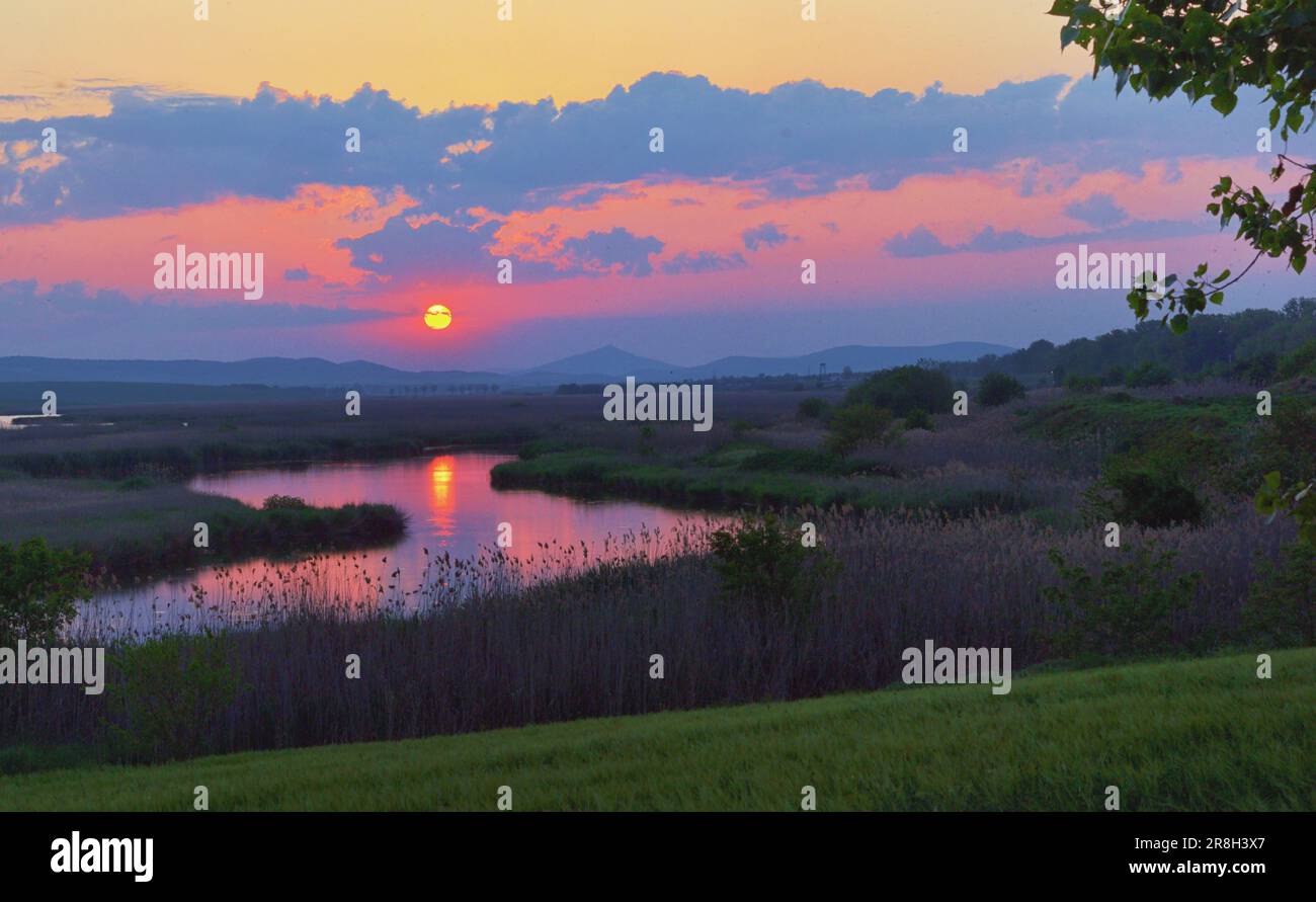 Tramonto di primavera sul Delta del Danubio in Romania Foto Stock