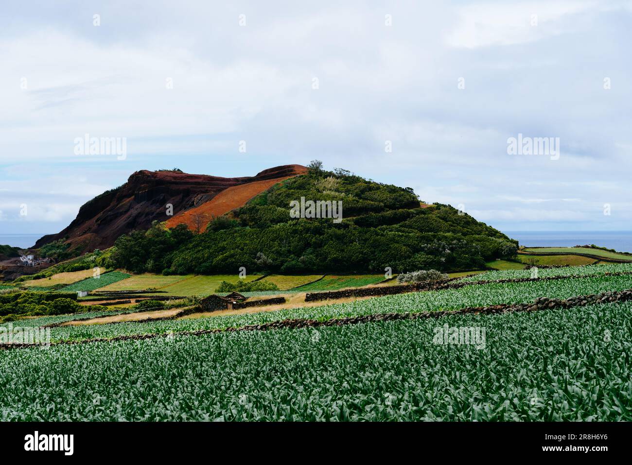 Antico vulcano circondato da terreni agricoli parcelato per l'agricoltura in vivaci colori verdi. Campi di mais. Pico Dona Joana. Isola di Terceira, Azzorre, Portuga Foto Stock